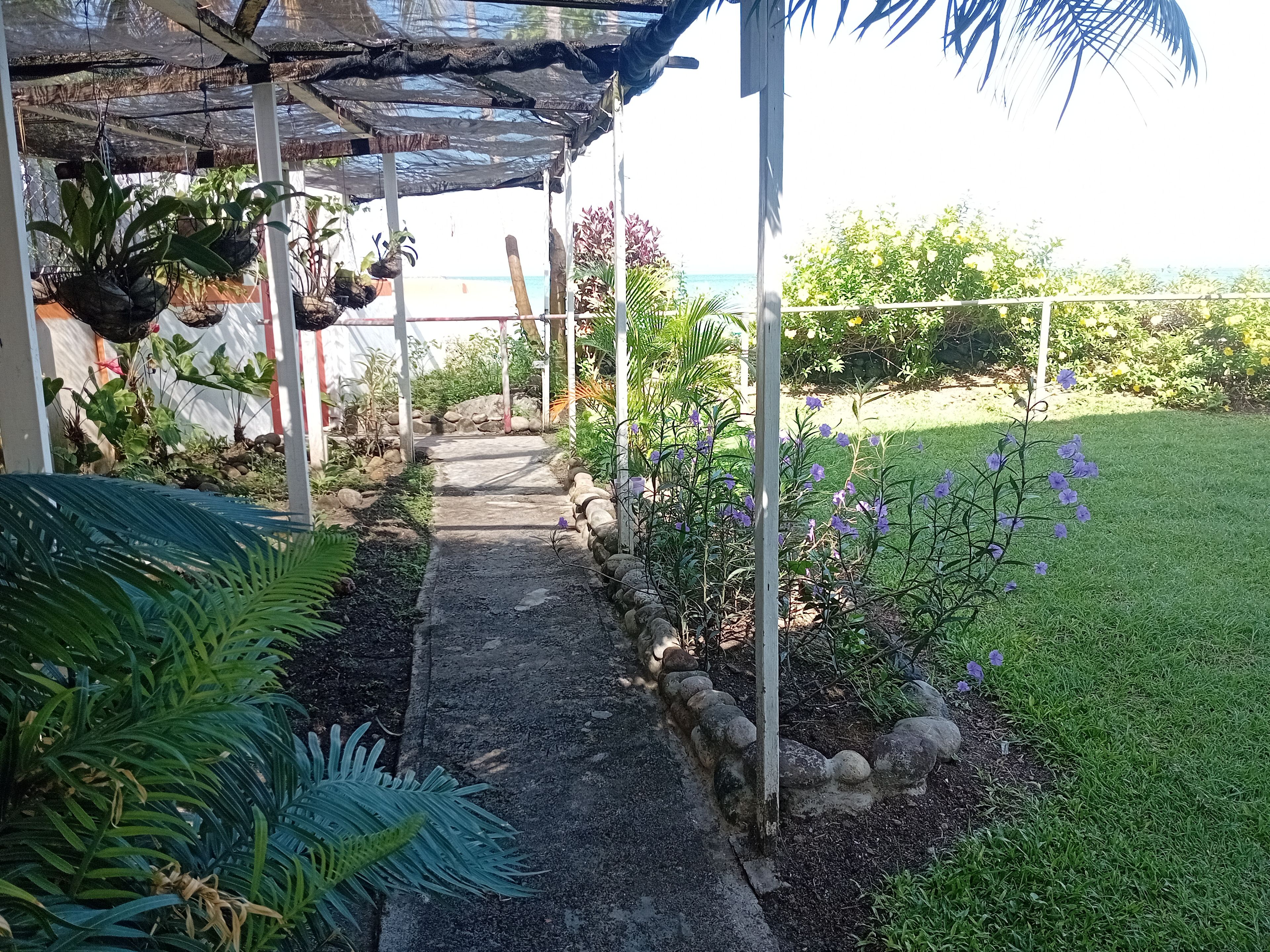 Un camí cobert a l'aire lliure que condueix a una platja, envoltat de verdura i plantes.