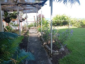 Un sendero techado al aire libre que conduce a una playa, rodeado de vegetación y plantas.
