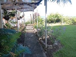 Un sendero techado al aire libre que conduce a una playa, rodeado de vegetación y plantas.