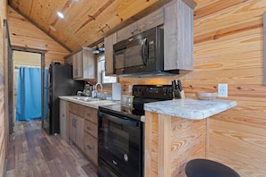 Fridge, microwave, oven, stovetop - Riverfront Cabin, Fish, Hike & 5 Min to Sylva! (Sylva)