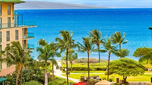 Un resort con piscina, palmeras y vista al océano.