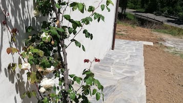 Detalle del exterior