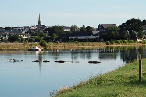 Un lac paisible, avec des canards, et le clocher d’une église en arrière-plan.