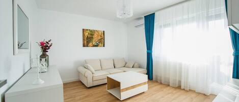 Fernseher, Arbeitsbereiche