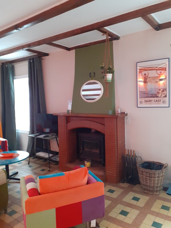 TV, fireplace, DVD player, books