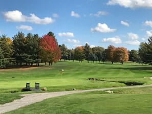Golf - Beth's Place - On the River - W/ Hot Tub, Pickleball Court & Putting Green (Potsdam,)