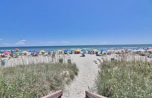 On the beach