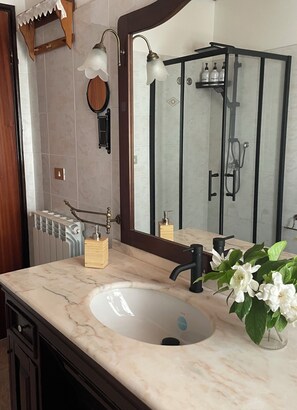 Shower, hair dryer, bidet, towels