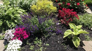 A garden with various plants and flowers, a wooden bench, and a fire sprinkler room sign. - Contemporary  Elegance Meets Coastal decor (Kennebunk)