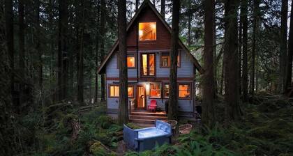Mt Bakers Rustic Industrial Treetop Chalet