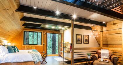 Romantic Treetop Cabin near Mt Baker - Perfect Couples Hideaway with private hot Tub and Fireplace
