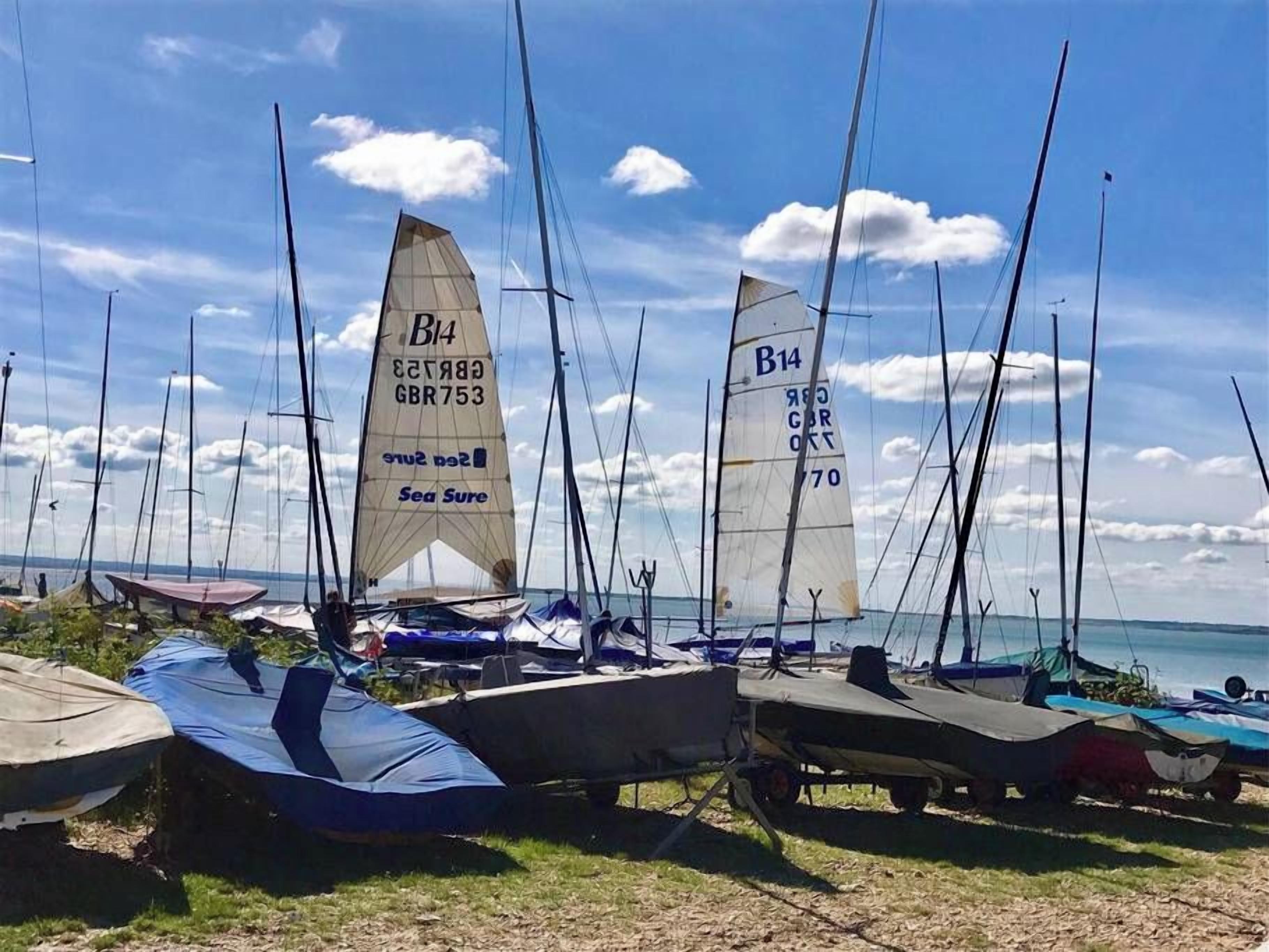Sailboats docked at a marina with clear skies.