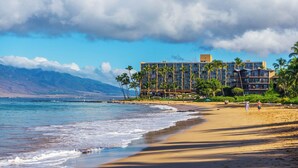 A beachfront hotel with multiple floors, palm trees, and a view of the ocean and mountains.
