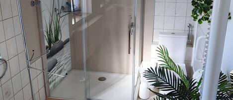 Shower, hair dryer, towels, soap