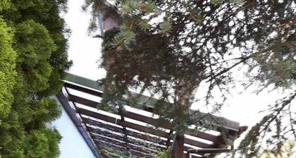 Vacation apartment, good location in the mining region Erzgebirge, mountain town Schneeberg