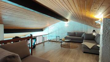 Smart TV, fireplace, books, stereo