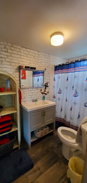 Ensemble douche/baignoire, sĂšche-cheveux, serviettes fournies, savon