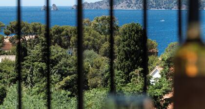 CADRE EXCEPTIONNEL FACE A LA MER