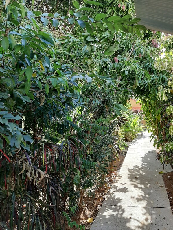 Áreas de la propiedad