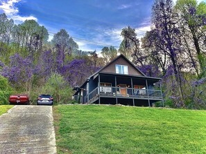 Exterior - Blue Cabin by the creek, Estillfork creek, perfect getaway (Estillfork)
