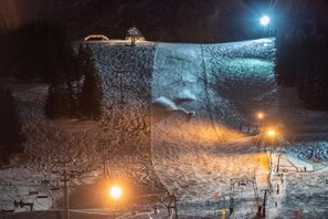 Wintersport/Ski