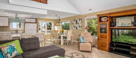 Smart TV, DVD player, books, computer monitors