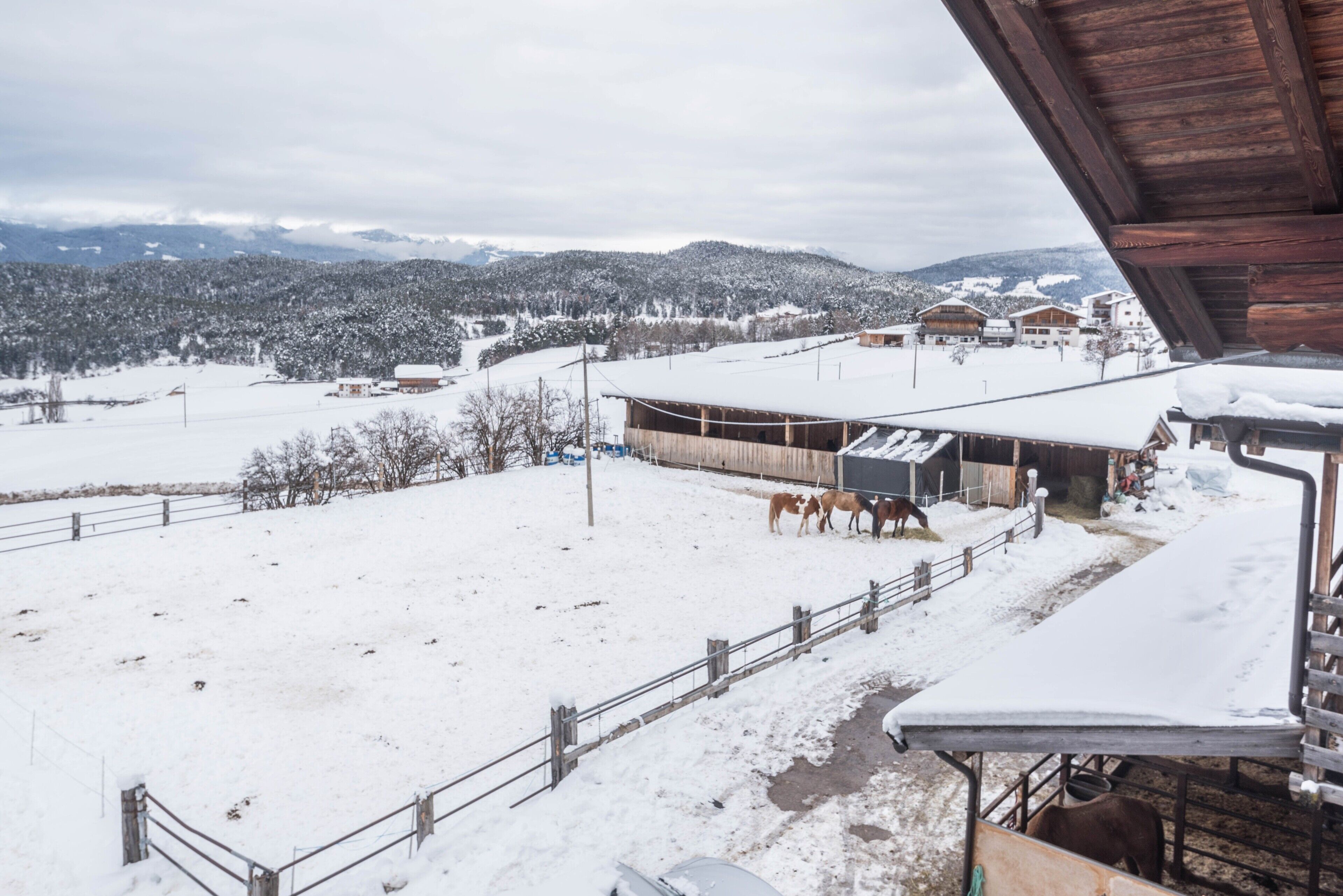 A snow-covered landscape with a stable, wooden buildings, and a fenced area with horses.