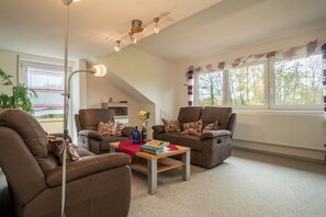 TV, DVD player, stereo - High-Quality Apartment “Ferienwohnung Steinhilber 1” (Eriskirch)