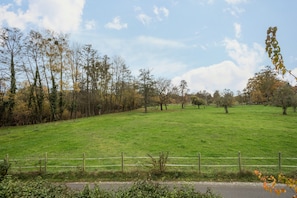 A grassy field with trees and a fence.