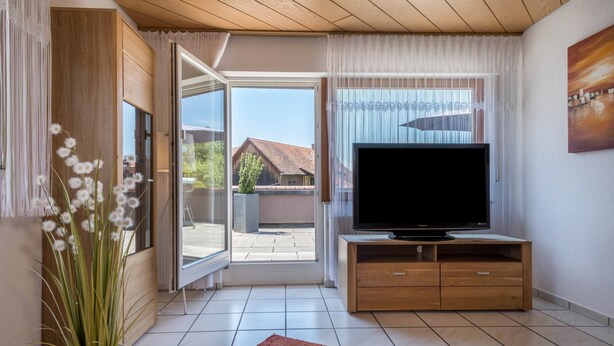 A living room with a TV on a wooden stand, a potted plant, and a view through a glass door.