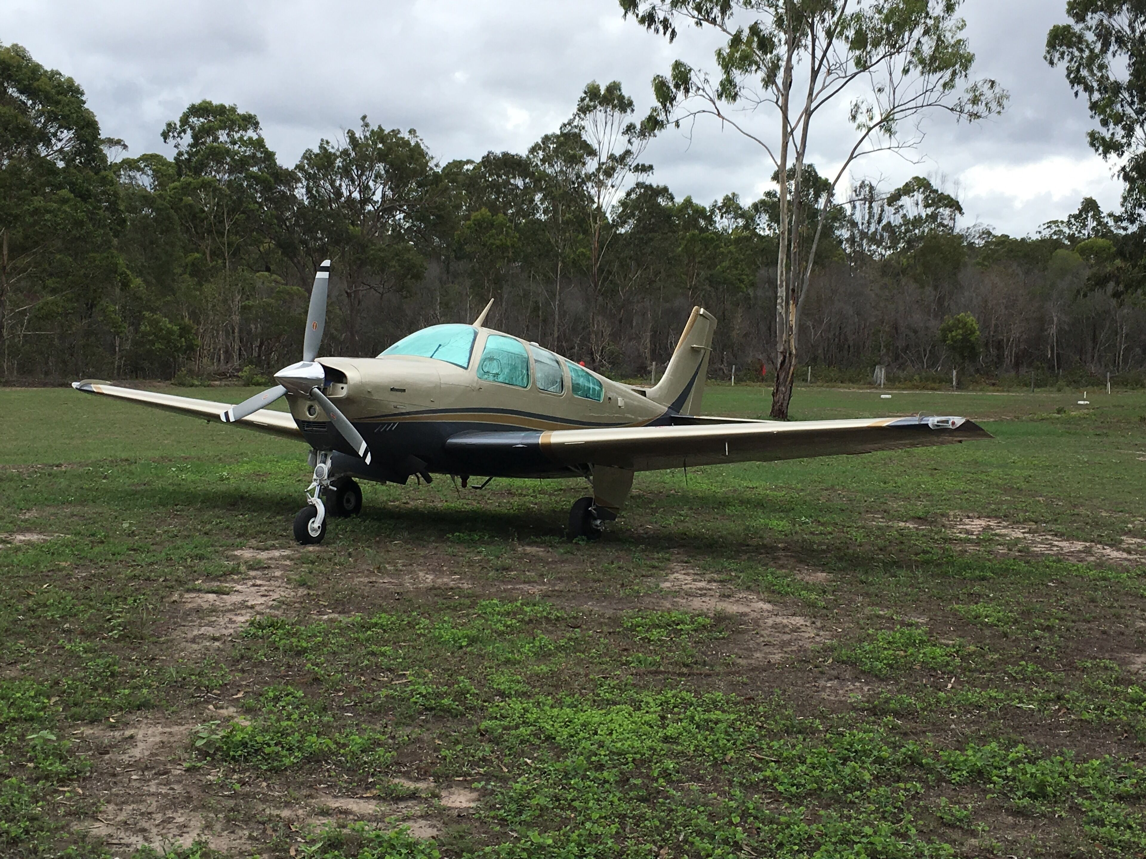 Un pequeño avión de hélice estacionado en un campo cubierto de césped, con árboles al fondo.