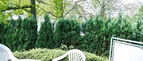 المنطقة المحيطة بالمنشأة