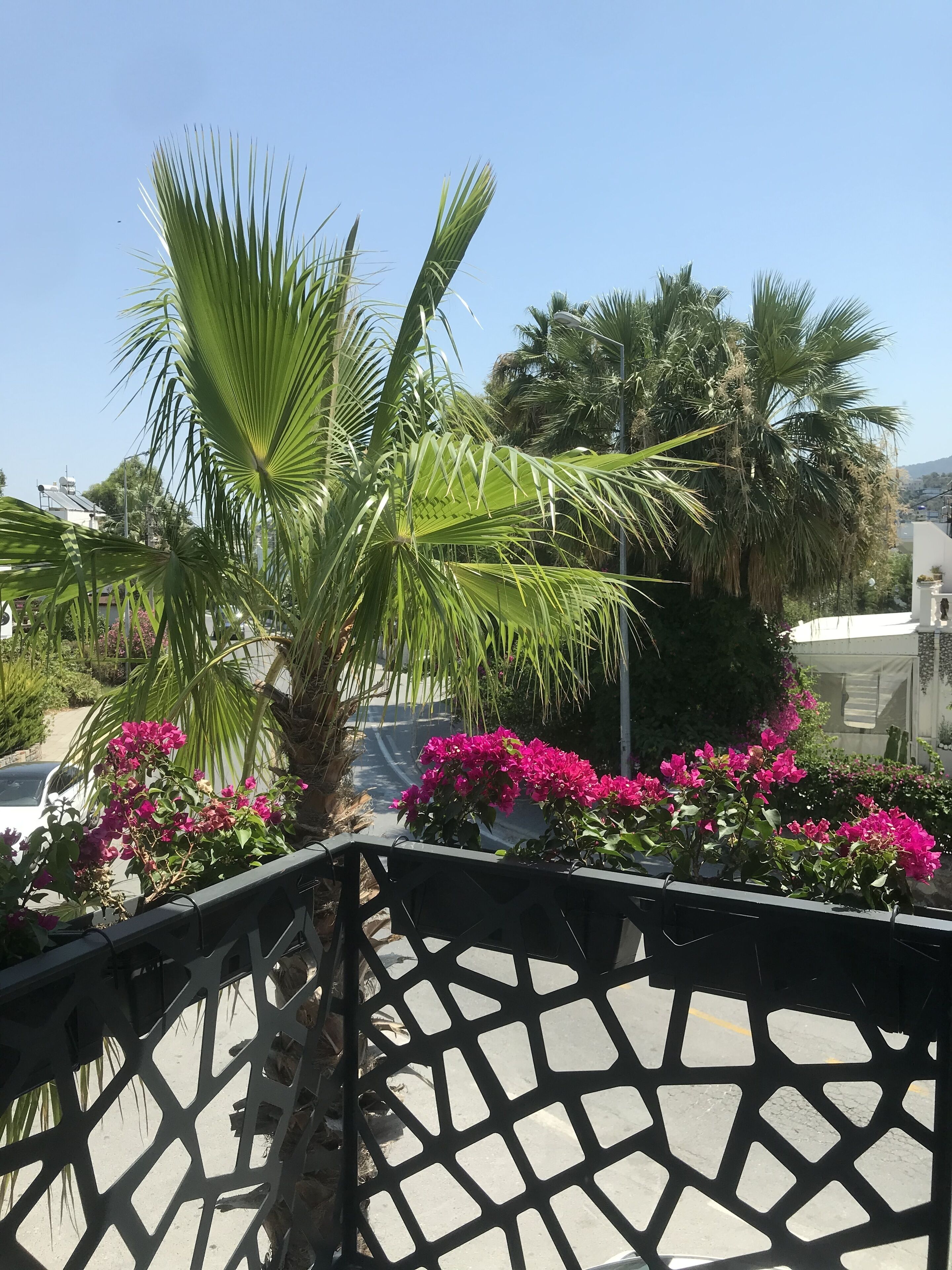 deluxe room, 1 bedroom, city view | 1 bedroom, frette italian sheets, premium bedding, in-room safe