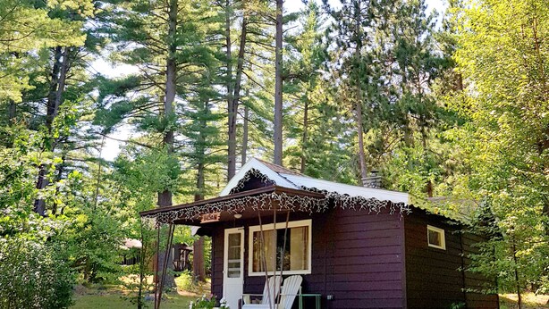 Eine kleine Holzhütte mit Veranda und einem Sessel, umgeben von hohen Bäumen und viel Grün.