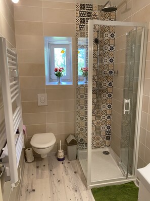 Shower, towels, toilet paper