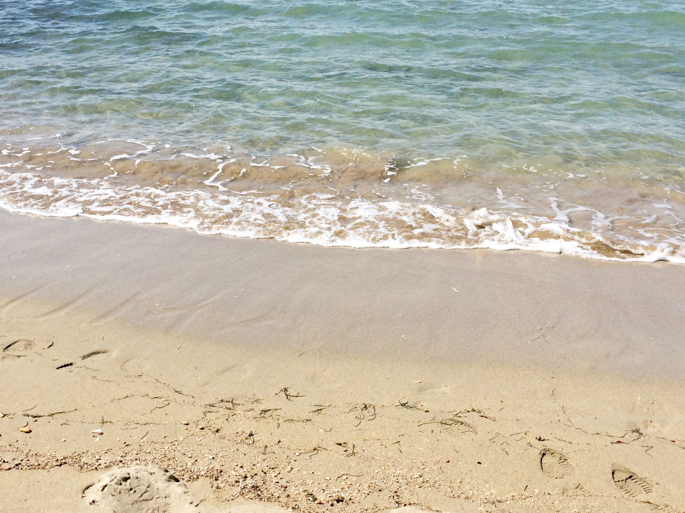 A sandy beach with footprints and seaweed.