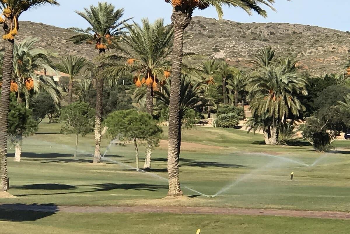 Un parcours de golf bordé de palmiers, avec des collines en arrière-plan.