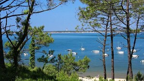 En kustvy med båtar på vattnet, en fyr i fjärran och en strand med träd i förgrunden.