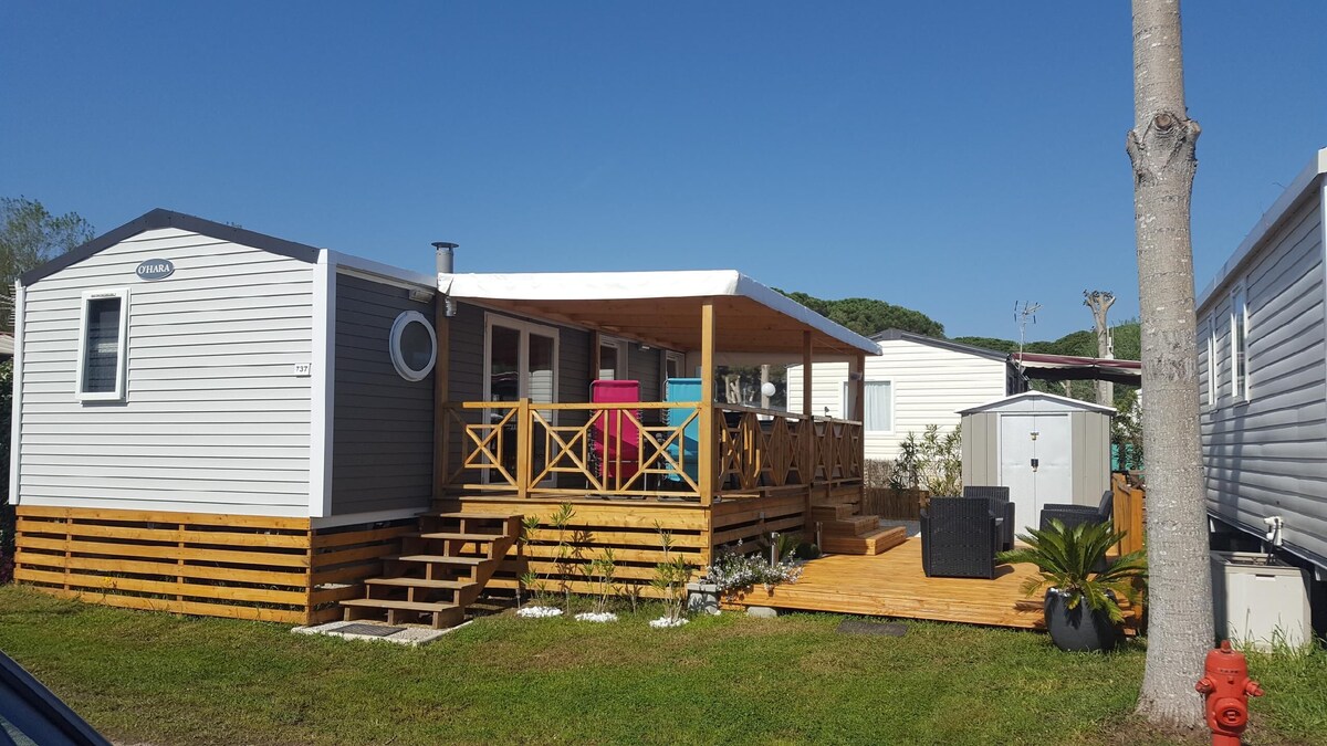 Host profile image