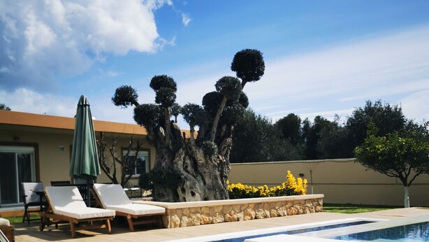 A swimming pool with a wooden deck, lounge chairs, and a stone wall. - Villa MATA - 600m² with Private Pool and Jacuzzi (Kalithies)