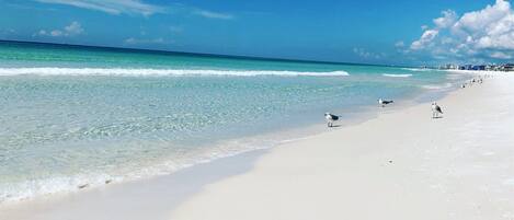 Una spiaggia nelle vicinanze