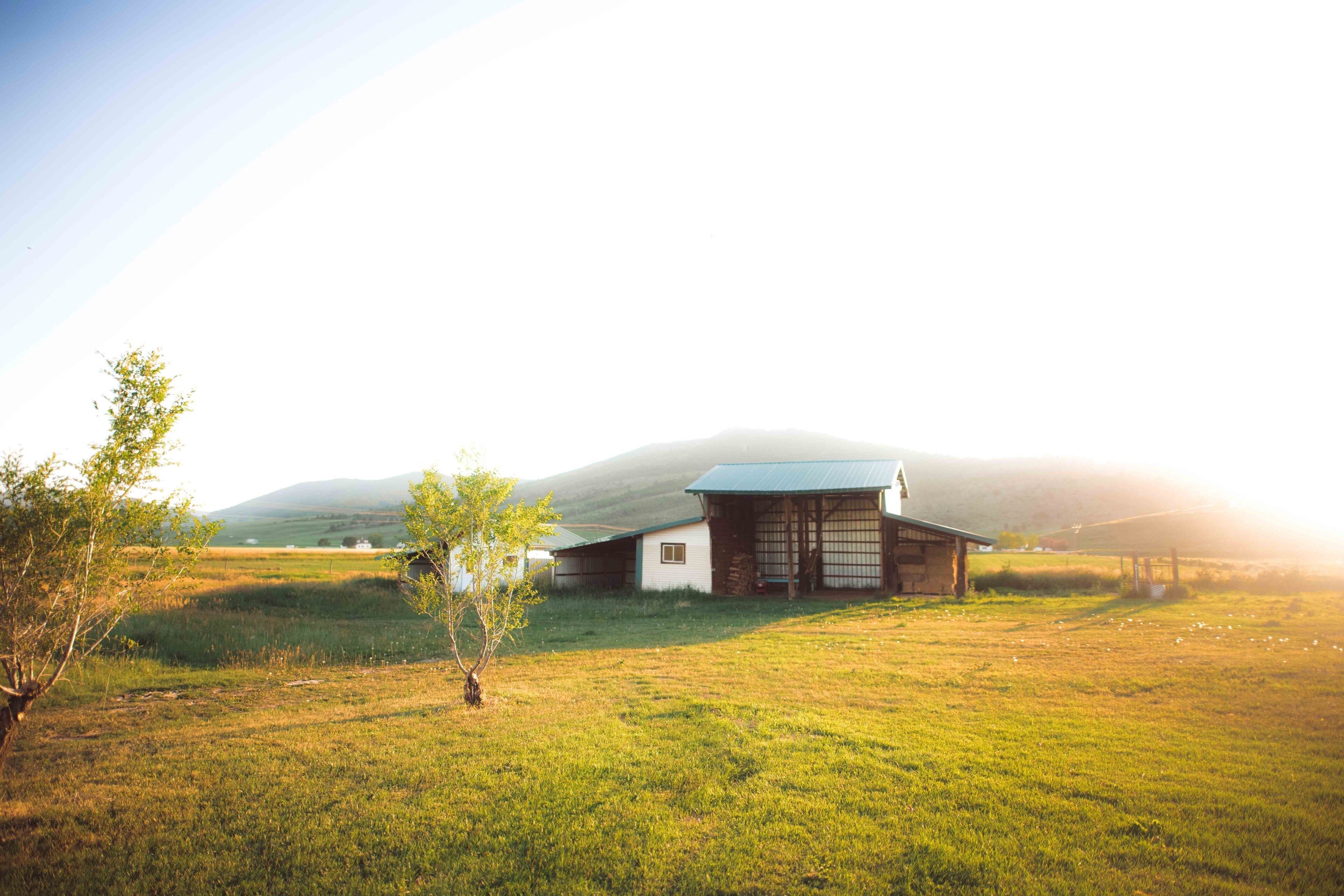 A traditional Japanese house with a sloped roof, surrounded by a grassy field and a mountain in the background.