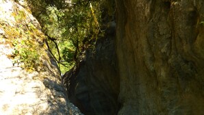 Un corpo d'acqua limpido e poco profondo, circondato da terreno roccioso e alberi.