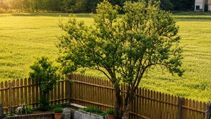 Un patio trasero con terraza de madera, mobiliario exterior, un árbol y un área cercada.