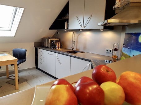 Fridge, oven, stovetop, dishwasher. Vacation apartment Döllinger near Nuremberg Exhibition Center