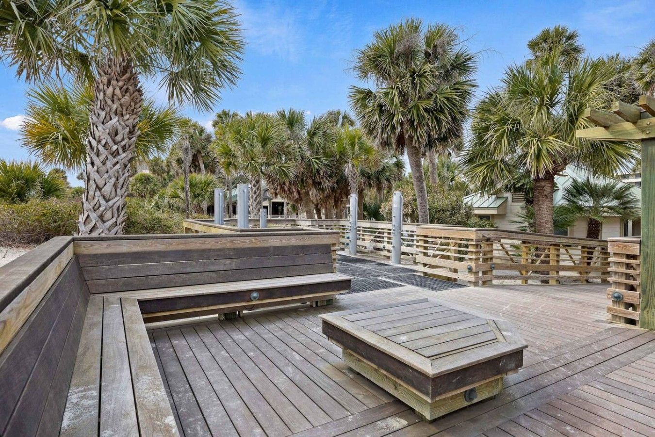 Una terraza de madera con bancos y una palmera.