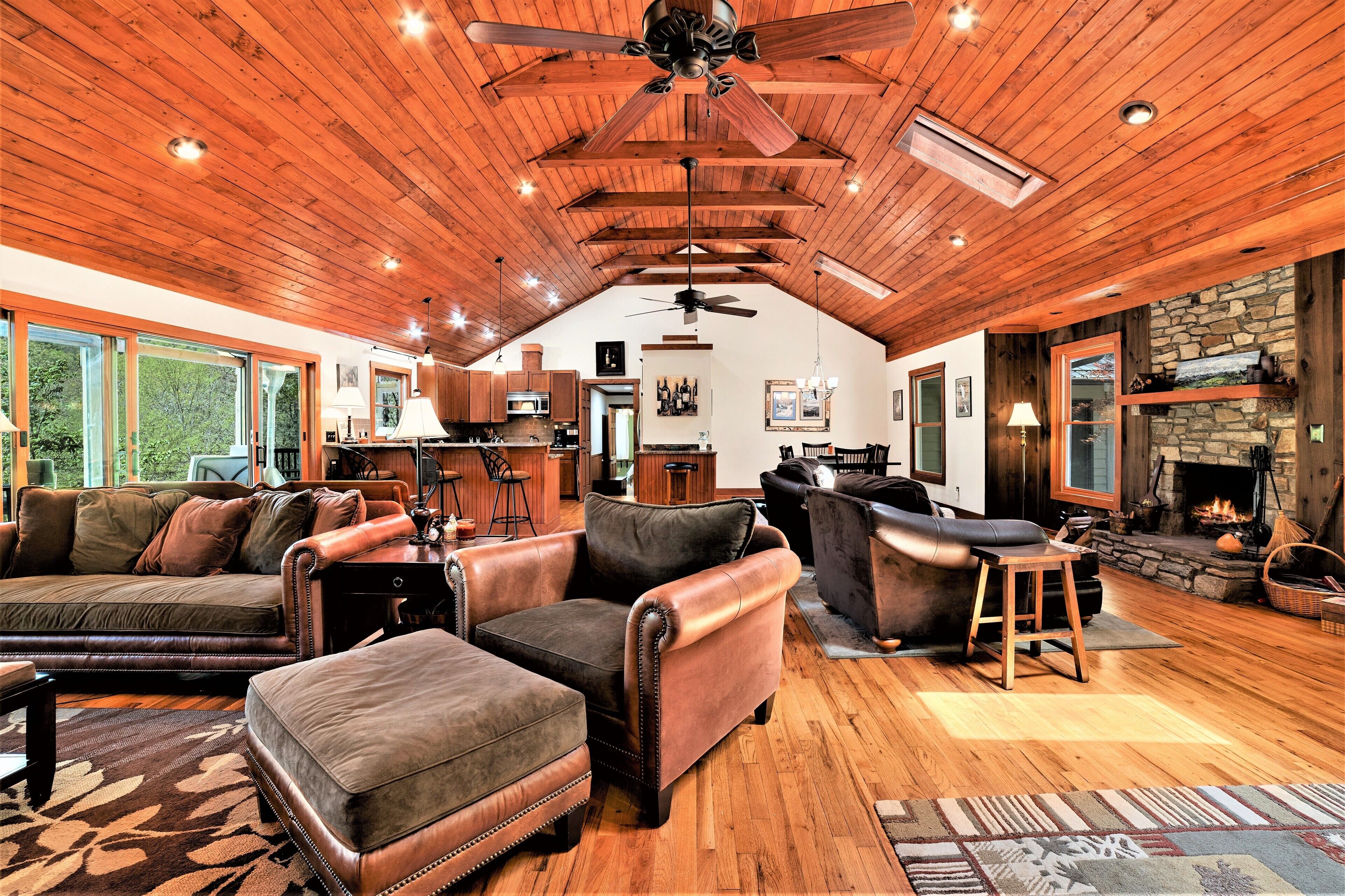 Smart TV, fireplace, DVD player, books