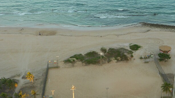 Une plage avec un poste de surveillance pour les sauveteurs, des palmiers et une zone délimitée par une clôture.