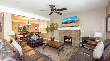 Televisión, chimenea y reproductor de DVD