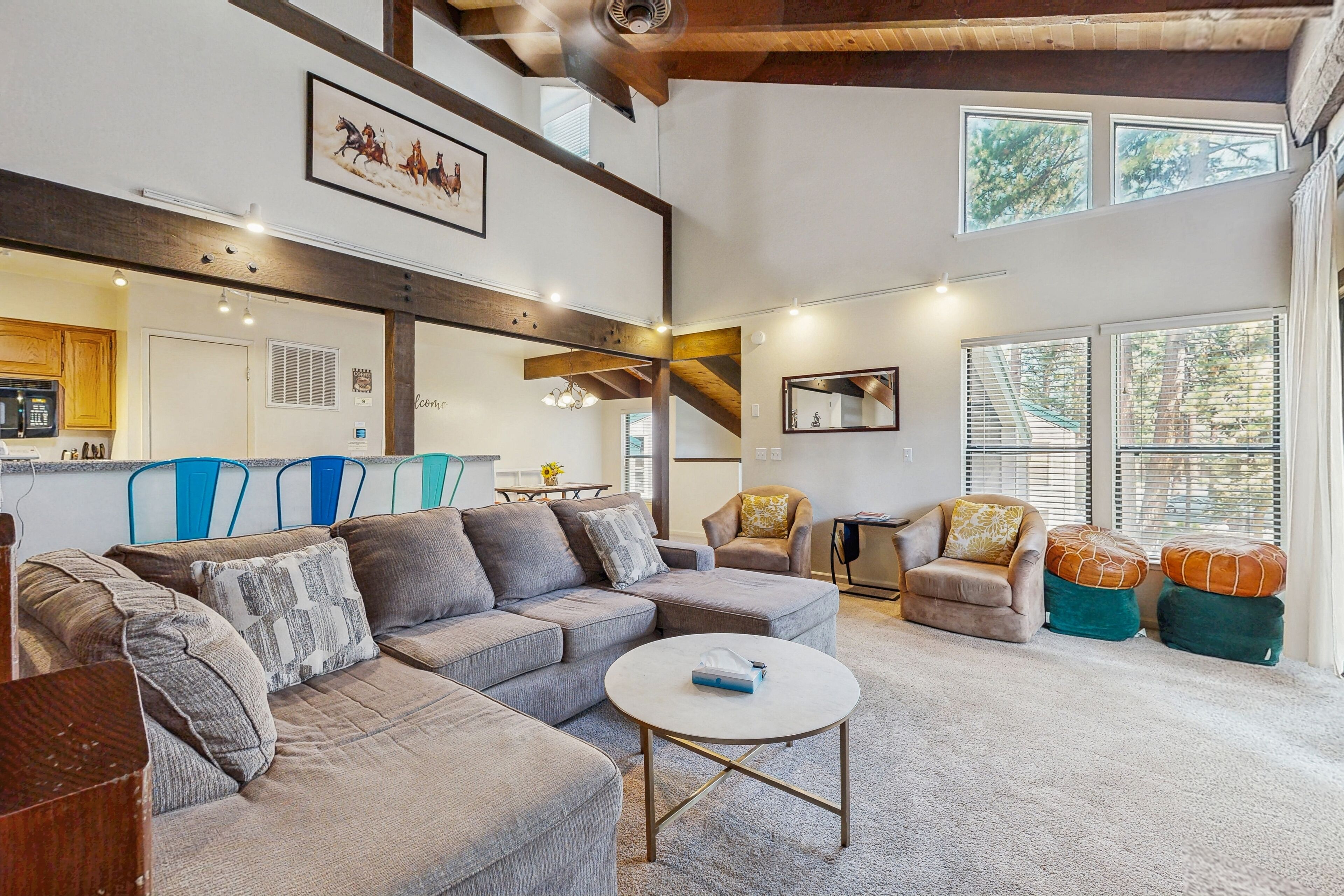 TV, fireplace, DVD player, books